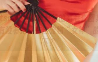 由Natsuko夏夏子打造的高卷杏图集，就问你有没有沦陷在这宠物“女神”的灯光下？